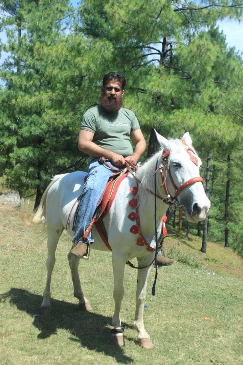Muhammad Asif riding a white horse on a pine-covered hillside